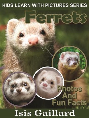 cover image of Ferrets Photos and Fun Facts for Kids